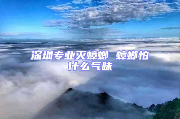 深圳專業滅蟑螂 蟑螂怕什么氣味