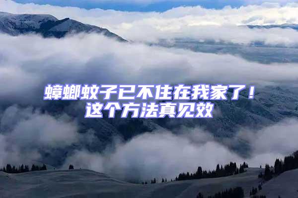 蟑螂蚊子已不住在我家了！這個方法真見效