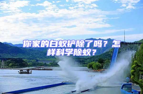 你家的白蟻鏟除了嗎？怎樣科學除蟻？