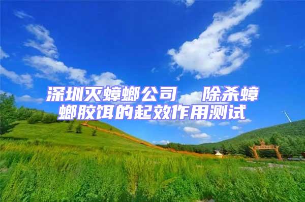 深圳滅蟑螂公司  除殺蟑螂膠餌的起效作用測(cè)試