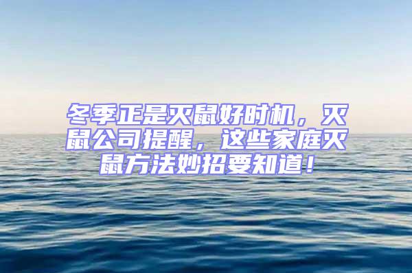 冬季正是滅鼠好時機(jī)，滅鼠公司提醒，這些家庭滅鼠方法妙招要知道！