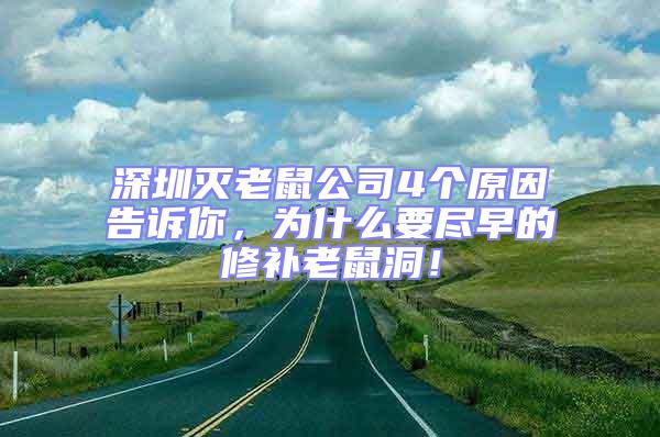 深圳滅老鼠公司4個(gè)原因告訴你，為什么要盡早的修補(bǔ)老鼠洞！