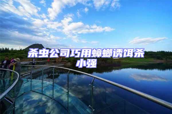 殺蟲(chóng)公司巧用蟑螂誘餌殺小強(qiáng)