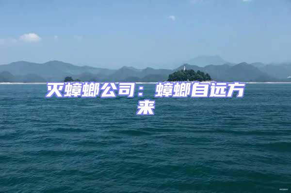 滅蟑螂公司：蟑螂自遠(yuǎn)方來(lái)