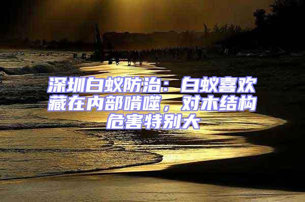 深圳白蟻防治：白蟻喜歡藏在內部啃噬，對木結構危害特別大