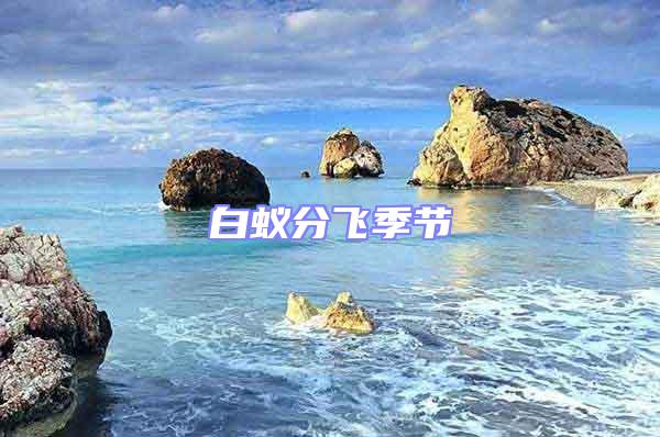 白蟻分飛季節