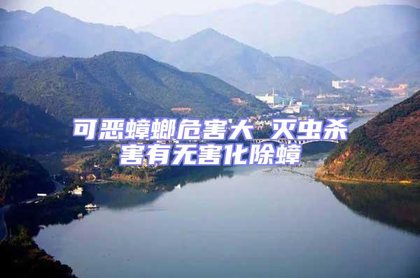 可惡蟑螂危害大 滅蟲(chóng)殺害有無(wú)害化除蟑
