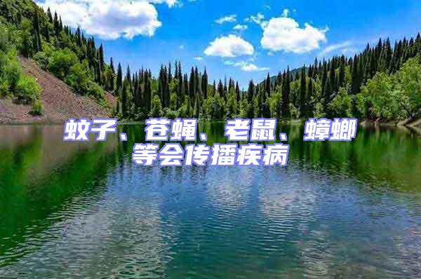 蚊子、蒼蠅、老鼠、蟑螂等會傳播疾病