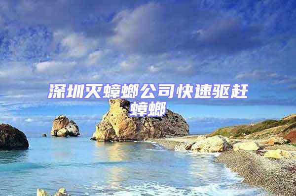 深圳滅蟑螂公司快速驅趕蟑螂