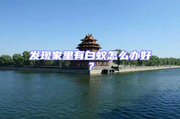 發現家里有白蟻怎么辦好？