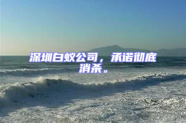 深圳白蟻公司，承諾徹底消殺。
