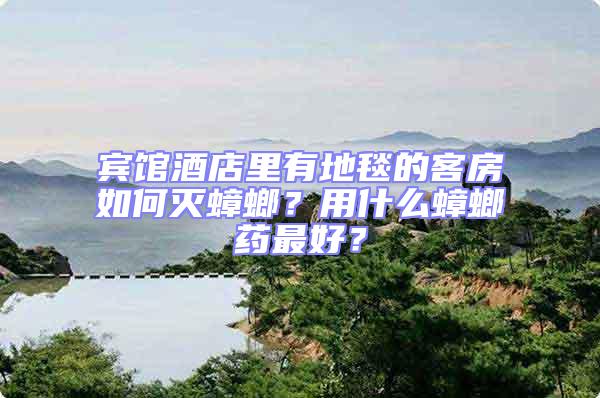 賓館酒店里有地毯的客房如何滅蟑螂？用什么蟑螂藥最好？