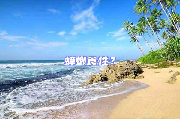 蟑螂食性？
