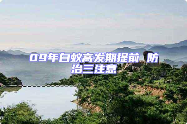 09年白蟻高發期提前 防治三注意