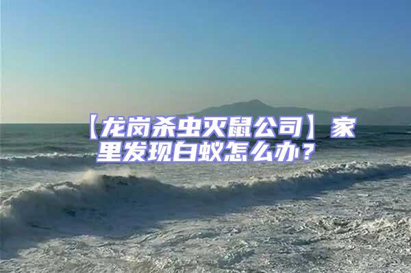 【龍崗殺蟲滅鼠公司】家里發現白蟻怎么辦？