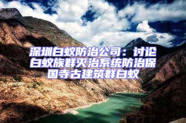 深圳白蟻防治公司：討論白蟻族群滅治系統防治保國寺古建筑群白蟻