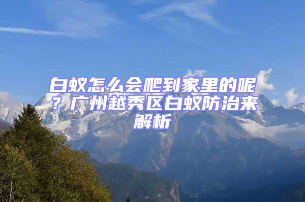 白蟻怎么會(huì)爬到家里的呢？廣州越秀區(qū)白蟻防治來(lái)解析