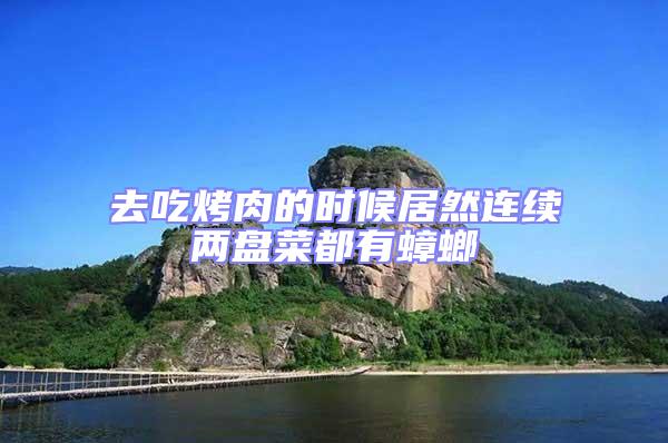去吃烤肉的時(shí)候居然連續(xù)兩盤菜都有蟑螂