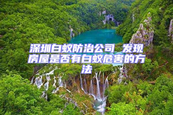 深圳白蟻防治公司 發(fā)現(xiàn)房屋是否有白蟻危害的方法