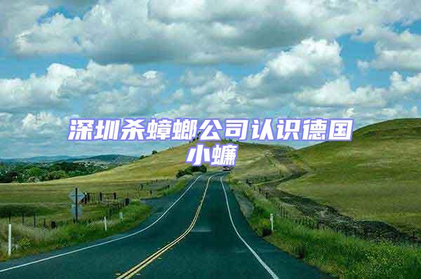 深圳殺蟑螂公司認(rèn)識德國小蠊