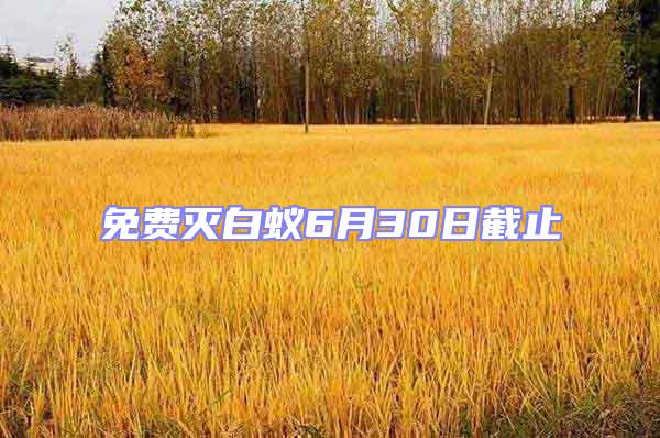 免費滅白蟻6月30日截止