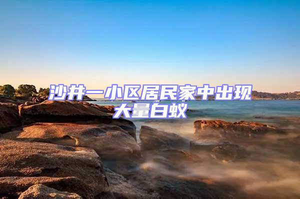 沙井一小區(qū)居民家中出現大量白蟻