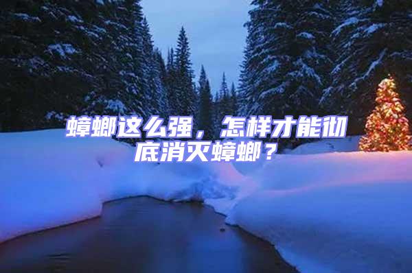 蟑螂這么強(qiáng)，怎樣才能徹底消滅蟑螂？