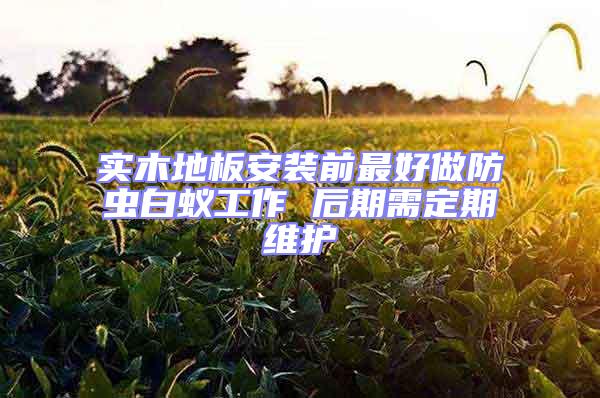 實木地板安裝前最好做防蟲白蟻工作 后期需定期維護