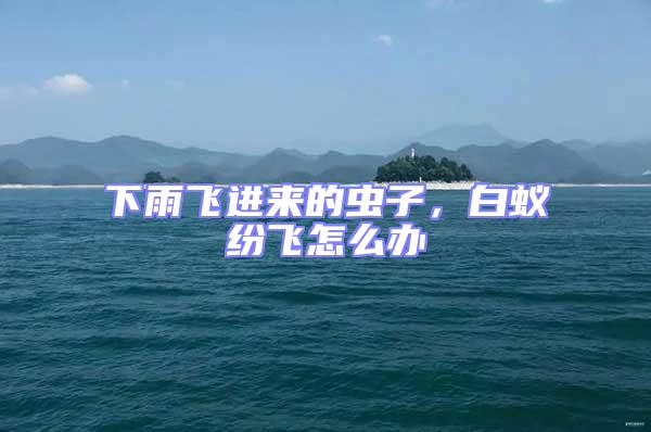 下雨飛進(jìn)來的蟲子，白蟻紛飛怎么辦