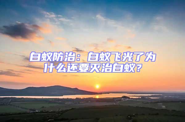 白蟻防治：白蟻飛光了為什么還要滅治白蟻？