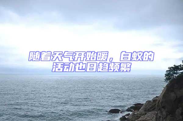 隨著天氣開始暖，白蟻的活動也日趨頻繁