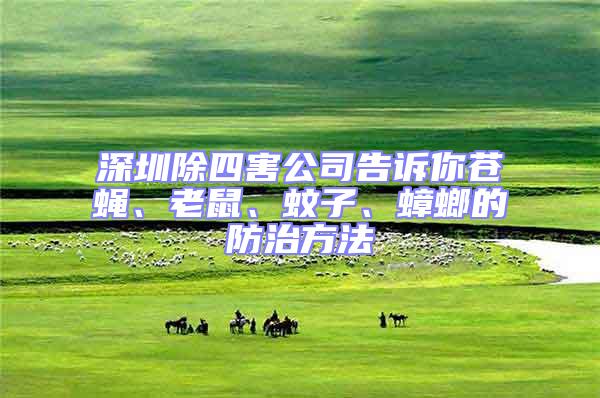 深圳除四害公司告訴你蒼蠅、老鼠、蚊子、蟑螂的防治方法