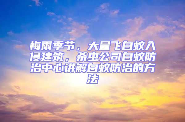 梅雨季節，大量飛白蟻入侵建筑，殺蟲公司白蟻防治中心講解白蟻防治的方法
