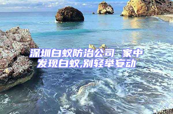 深圳白蟻防治公司 家中發(fā)現(xiàn)白蟻,別輕舉妄動