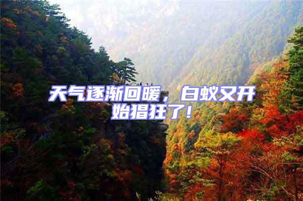 天氣逐漸回暖，白蟻又開(kāi)始猖狂了!