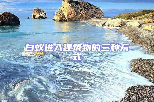 白蟻進入建筑物的三種方式
