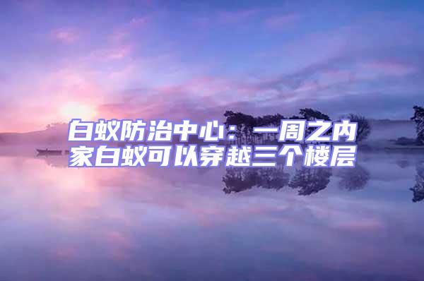 白蟻防治中心：一周之內(nèi)家白蟻可以穿越三個(gè)樓層