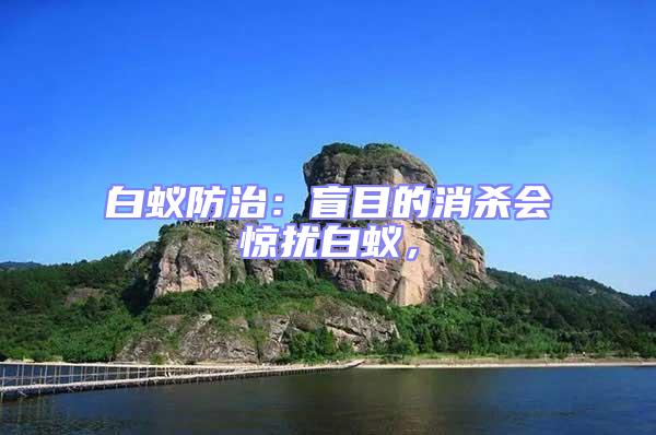 白蟻防治：盲目的消殺會驚擾白蟻，