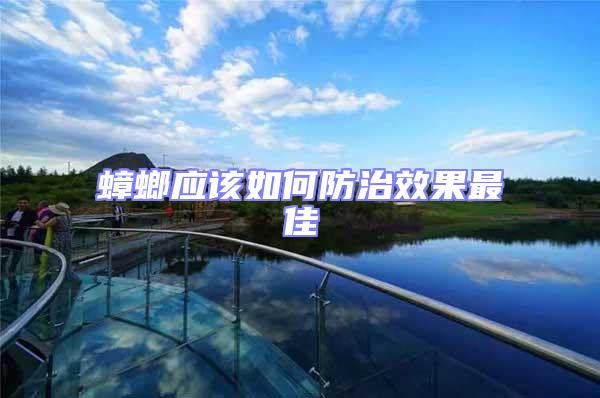 蟑螂應(yīng)該如何防治效果最佳