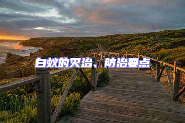 白蟻的滅治、防治要點(diǎn)