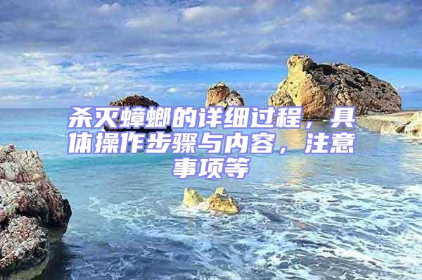 殺滅蟑螂的詳細過程，具體操作步驟與內(nèi)容，注意事項等
