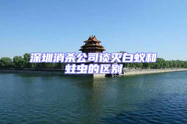 深圳消殺公司談滅白蟻和蛀蟲的區別
