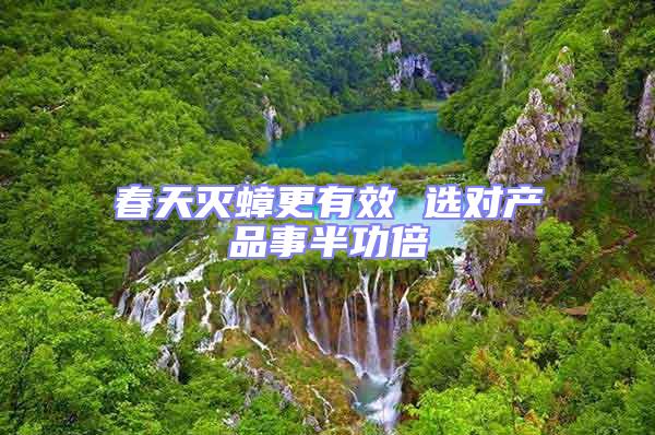 春天滅蟑更有效 選對產品事半功倍