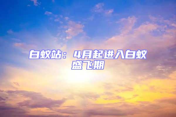 白蟻站：4月起進(jìn)入白蟻盛飛期