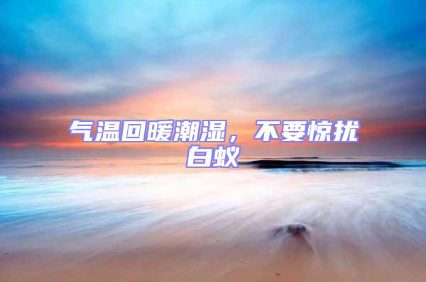氣溫回暖潮濕，不要驚擾白蟻