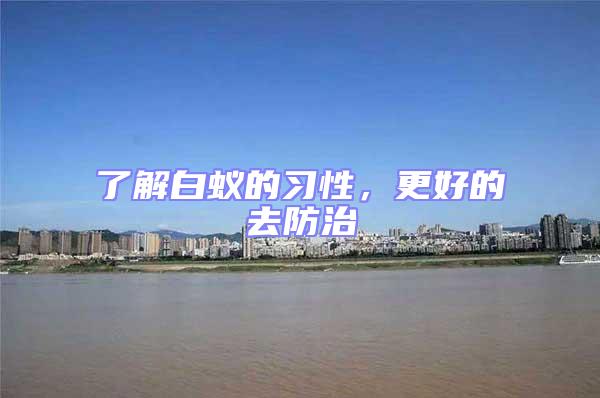 了解白蟻的習性，更好的去防治