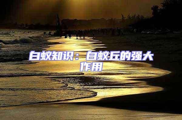 白蟻知識：白蟻丘的強(qiáng)大作用
