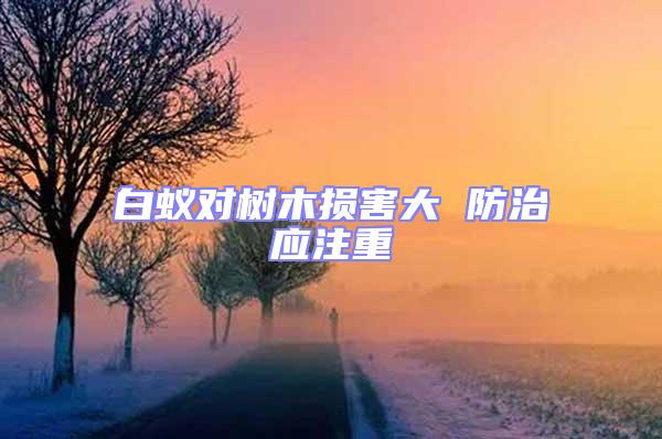 白蟻對(duì)樹(shù)木損害大 防治應(yīng)注重