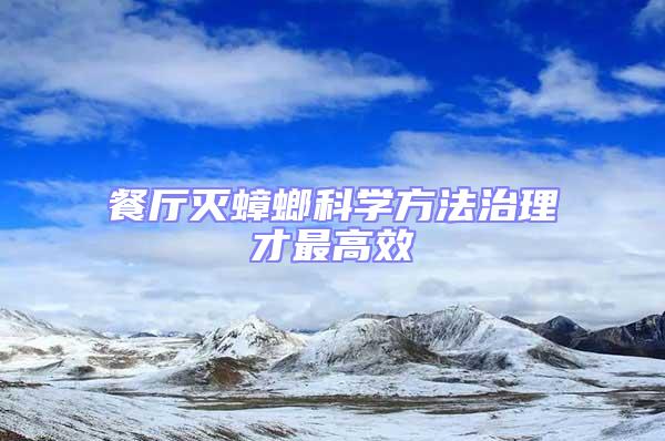 餐廳滅蟑螂科學(xué)方法治理才最高效