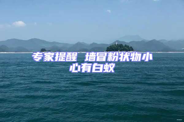 專家提醒 墻冒粉狀物小心有白蟻